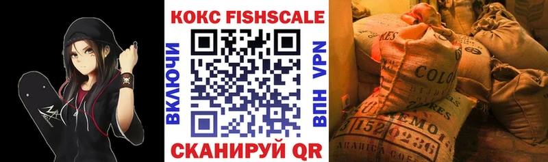 COCAIN Fish Scale  Купить где  Касимов 