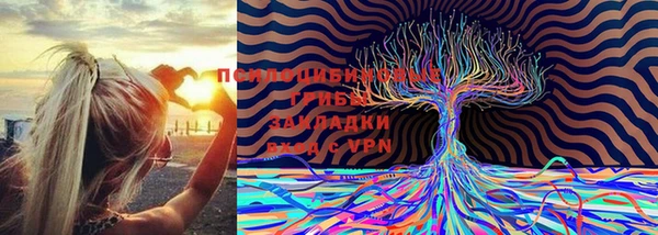 apvp Каменногорск