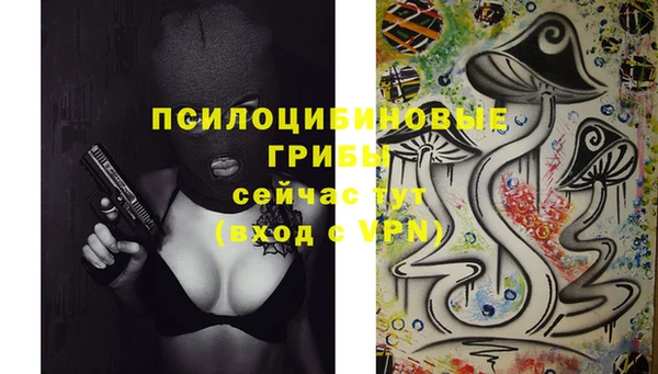 apvp Каменногорск