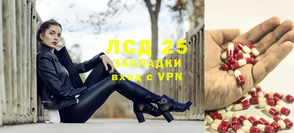 apvp Каменногорск